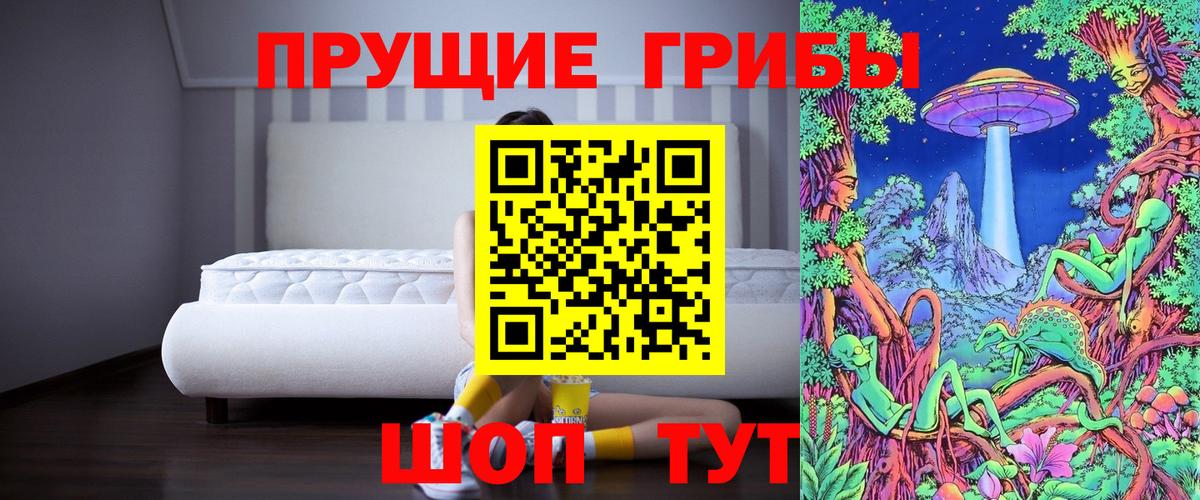 Владимир  Галлюциногенные грибы мицелий  Вход с VPN 